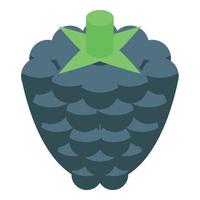 Blackberry fruit icon, isometric style vector