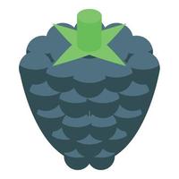 Blackberry fruit icon, isometric style vector