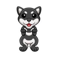 Cute black shiba inu dog cartoon posing vector