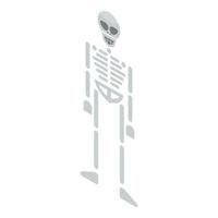 Skeleton icon, isometric style vector