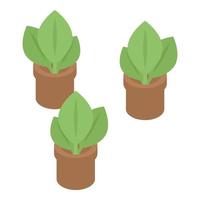 icono de plantas de interior de granja, estilo isométrico vector