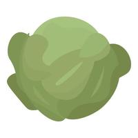 Green leaf cabbage icon, isometric style vector