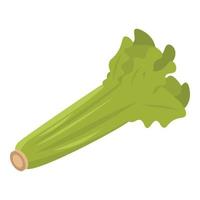 Eco celery leaf icon, isometric style vector