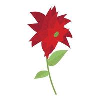 Poinsettia flower icon, isometric style vector