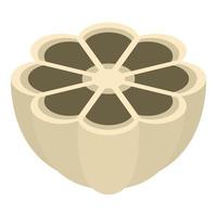 Half garlic icon, isometric style vector