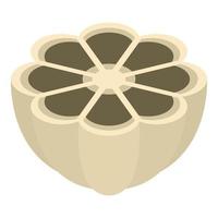 Half garlic icon, isometric style vector