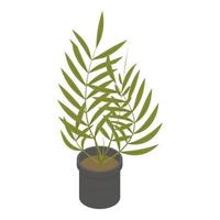 Tropical plant pot icon, isometric style vector