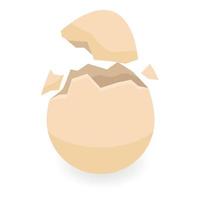 Broken eggshell icon, isometric style vector