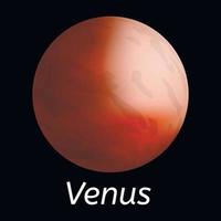 icono del planeta venus, estilo realista vector