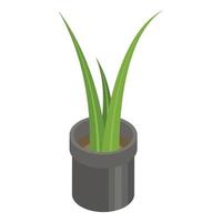 Office pot plant icon, isometric style vector