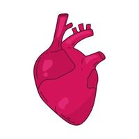 Heart vector design. Realistic anatomy pictures. Human body internal organs,