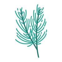 Christmas tree green branch vector icon. Hand drawn illustration isolated on white background. A twig of a coniferous plant with needles. Simple botanical doodle. Cartoon clipart for cards, posters