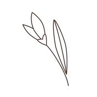 Doodle vector outline drawing of tulip flower. Simple minimalistic design element for creating gift tags, greeting cards on Mother's day or Valentines day.