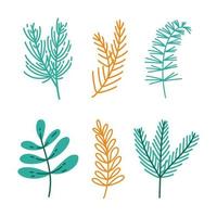 Festive winter plants vector icon set. Branches of a Christmas tree, spruce, pine, cedar, fir. Sprig of mistletoe with leaves. Green and golden coniferous trees. Simple flat clipart for cards, prints