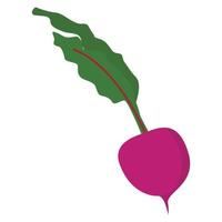 Radish icon, flat style vector