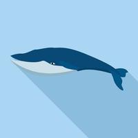 Fin whale icon, flat style vector