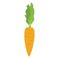 Carrot icon, flat style vector