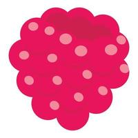 Raspberry icon, flat style vector