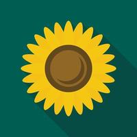 Sunflower icon, flat style vector