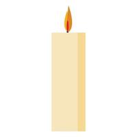 Candle fire icon, flat style vector