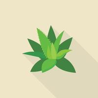 Aloe vera icon, flat style vector