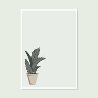minimalistic house plant art pastel color for home wall decor framed poster print vector
