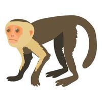 Capuchin icon, cartoon style vector