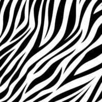 Zebra animal skin print pattern. Seamless background with zebra skin pattern. Zebra Animal Motif Vector Seamless Pattern. Zebra skin pattern.