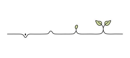 How a plant grows step by step. Stages of plant growth. Seed development. Outline vector. vector