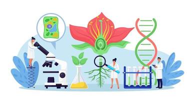 Biology, botany subject. Biologist exploring nature. Scientist make laboratory analysis of life system of plants. Molecular engineering, microbiology. Chemical researchers working with lab equipment