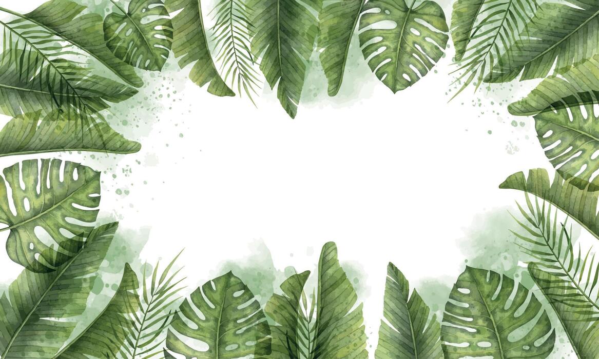 Jungle Border Vector Art, Icons, and Graphics for Free Download