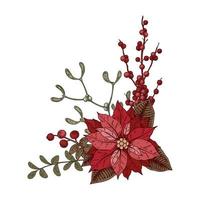 Christmas botany composition with poinsettia flower and mistletoe. Vector illustration in sketch style isolated on white background