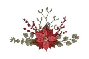 Christmas botany composition with poinsettia flower and mistletoe. Vector illustration in sketch style isolated on white background