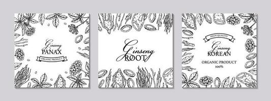 Set of ginseng square designs. Hand drawn botanical vector illustration in sketch style. Can be used for packaging, label, badge. Herbal medicine background
