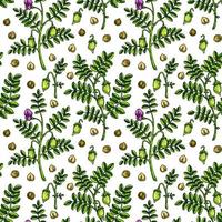 Hand drawn chickpeas seamless pattern. Vector illustration in colored sketch style