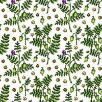 Hand drawn chickpeas seamless pattern. Vector illustration in colored sketch style