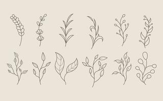 Hand drawn leaves line art vector