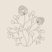 elemento de decoración floral dibujar a mano vector