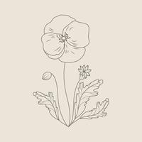 Hand Draw Floral Decoration Element vector