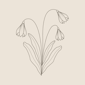 Hand Draw Floral Decoration Element vector