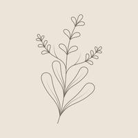 doodle de línea de hojas y flores vector