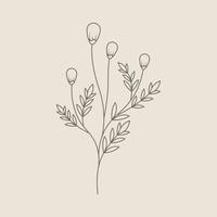 Leaves and Flowers Line Doodle vector