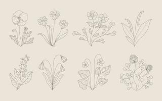 Hand Draw Floral Decoration Elements