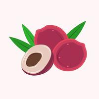 Lychee vector illustration for graphic design and decorative element