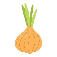 cebolla en estilo plano de dibujos animados. dibujado a mano ilustración vectorial de cebolla vegetal fresco vector