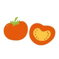 Tomato in cartoon flat style. hand drawn vector illustration of fresh tasty vegetable, healthy food
