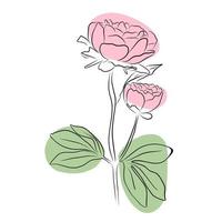 An illustration with a peony flower isolated on a white background. Vector illustration. Black silhouette. Realistic vector illustration of a peony. Hand-drawn vector illustration