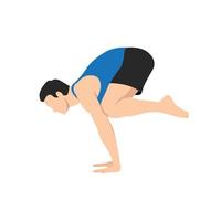 hombre haciendo pose de grúa - pose de yoga bakasana. hombre entrenamiento fitness, aeróbicos y ejercicios. ilustración vectorial plana aislada sobre fondo blanco vector