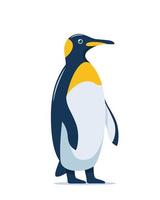 Cute penguin stands in full height, vector illustration on white background.