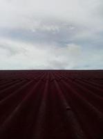 Closeup of red roof cover. Tiled roof with sky background photo